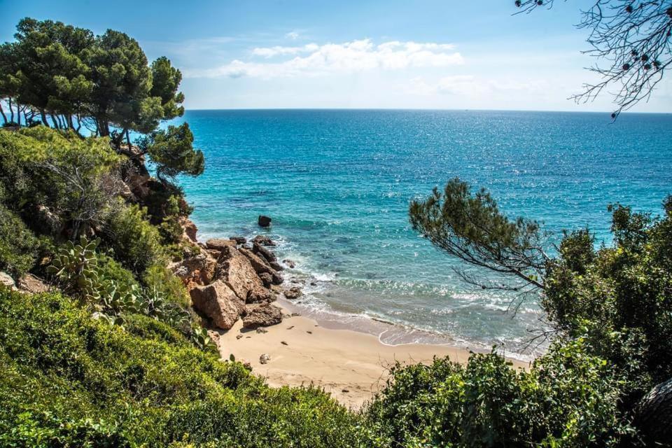דירות Miami Playa Tropikana מראה חיצוני תמונה